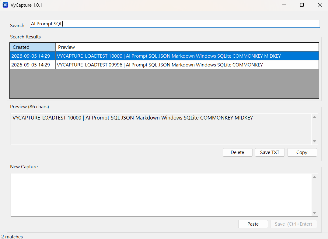 VyCapture main window